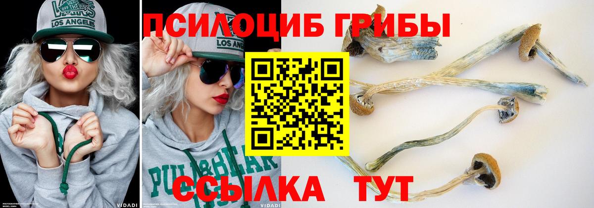 Псилоцибиновые грибы мицелий Алексеевка